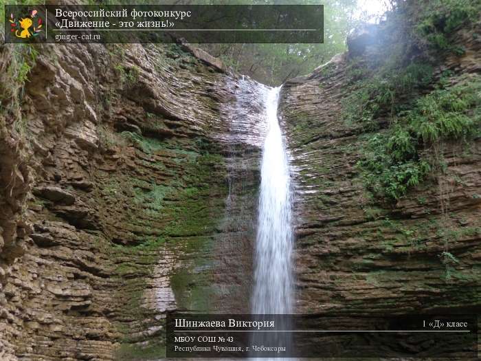 Всероссийский фотоконкурс «Движение - это жизнь!»  - детский рисунок, поделка, творческая работа, категория школьники, 1 класс, дистанционный конкурс, школьный конкурс