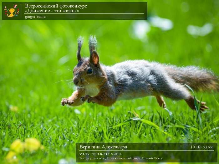 Всероссийский фотоконкурс