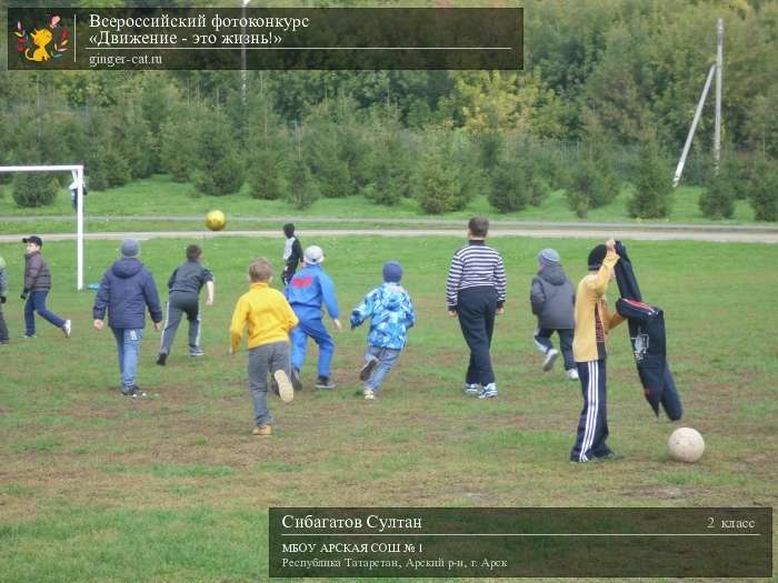 Всероссийский фотоконкурс «Движение - это жизнь!»  - детский рисунок, поделка, творческая работа, категория школьники, 2 класс, дистанционный конкурс, школьный конкурс