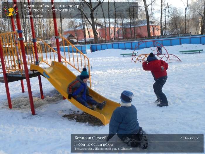 Всероссийский фотоконкурс «Движение - это жизнь!»  - детский рисунок, поделка, творческая работа, категория школьники, 2 класс, дистанционный конкурс, школьный конкурс