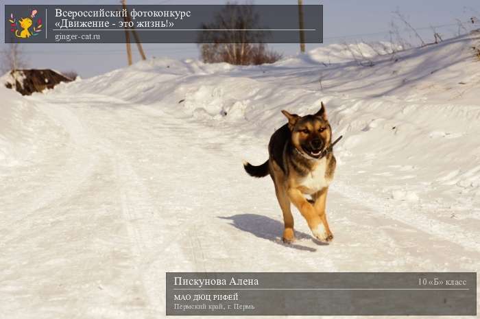 Всероссийский фотоконкурс «Движение - это жизнь!»  - детский рисунок, поделка, творческая работа, категория школьники, 10 класс, дистанционный конкурс, школьный конкурс