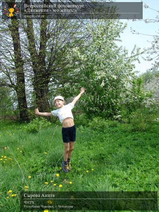 Всероссийский фотоконкурс «Движение - это жизнь!»  - детский рисунок, поделка, творческая работа, категория дошкольники, детский сад, дистанционный конкурс, школьный конкурс