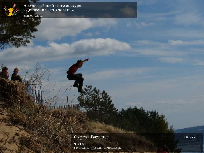 Всероссийский фотоконкурс «Движение - это жизнь!»  - детский рисунок, поделка, творческая работа, категория школьники, 10 класс, дистанционный конкурс, школьный конкурс