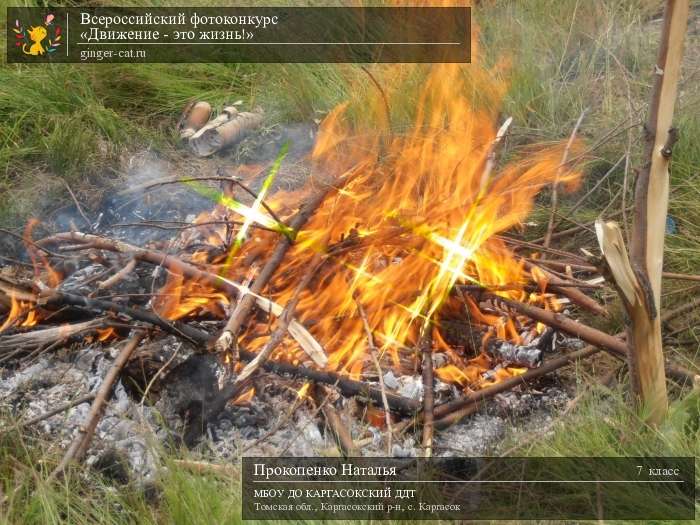 Всероссийский фотоконкурс «Движение - это жизнь!»  - детский рисунок, поделка, творческая работа, категория школьники, 7 класс, дистанционный конкурс, школьный конкурс