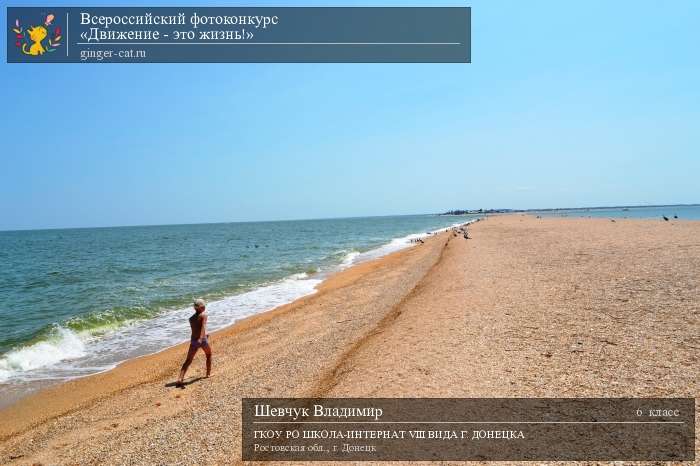 Всероссийский фотоконкурс «Движение - это жизнь!»  - детский рисунок, поделка, творческая работа, категория школьники, 6 класс, дистанционный конкурс, школьный конкурс