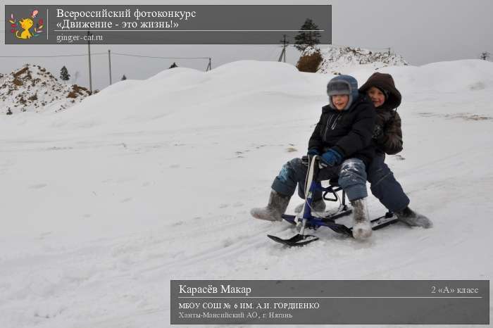 Всероссийский фотоконкурс «Движение - это жизнь!»  - детский рисунок, поделка, творческая работа, категория школьники, 2 класс, дистанционный конкурс, школьный конкурс