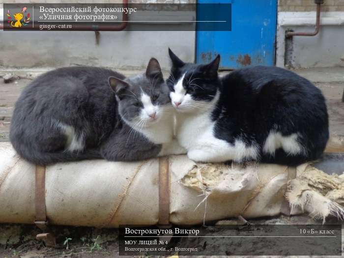 Всероссийский фотоконкурс «Уличная фотография»  - детский рисунок, поделка, творческая работа, категория школьники, 10 класс, дистанционный конкурс, школьный конкурс