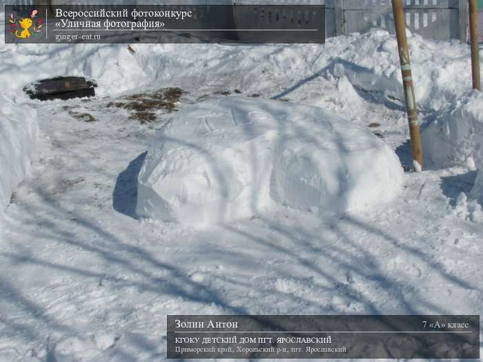 Всероссийский фотоконкурс «Уличная фотография»  - детский рисунок, поделка, творческая работа, категория школьники, 7 класс, дистанционный конкурс, школьный конкурс