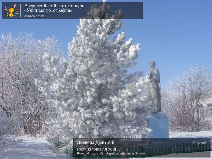 Всероссийский фотоконкурс