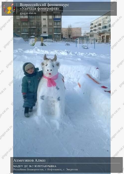 Всероссийский фотоконкурс «Уличная фотография»  - детский рисунок, поделка, творческая работа, категория дошкольники, детский сад, дистанционный конкурс, школьный конкурс