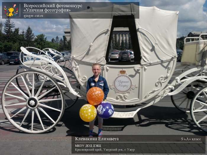 Всероссийский фотоконкурс «Уличная фотография»  - детский рисунок, поделка, творческая работа, категория школьники, 5 класс, дистанционный конкурс, школьный конкурс