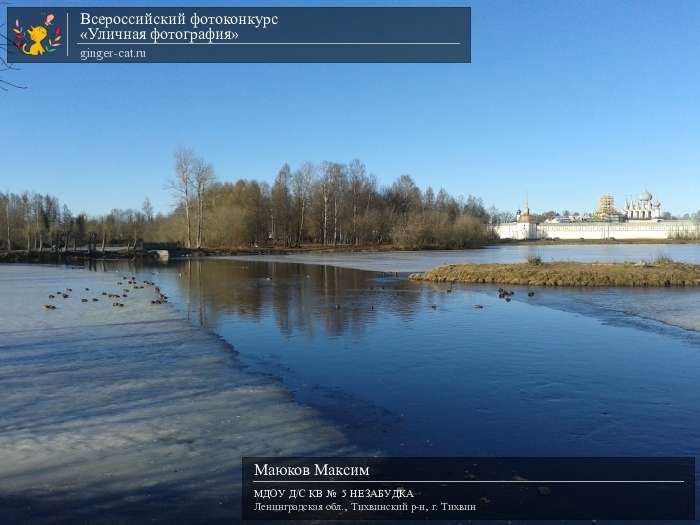 Всероссийский фотоконкурс «Уличная фотография»  - детский рисунок, поделка, творческая работа, категория дошкольники, детский сад, дистанционный конкурс, школьный конкурс