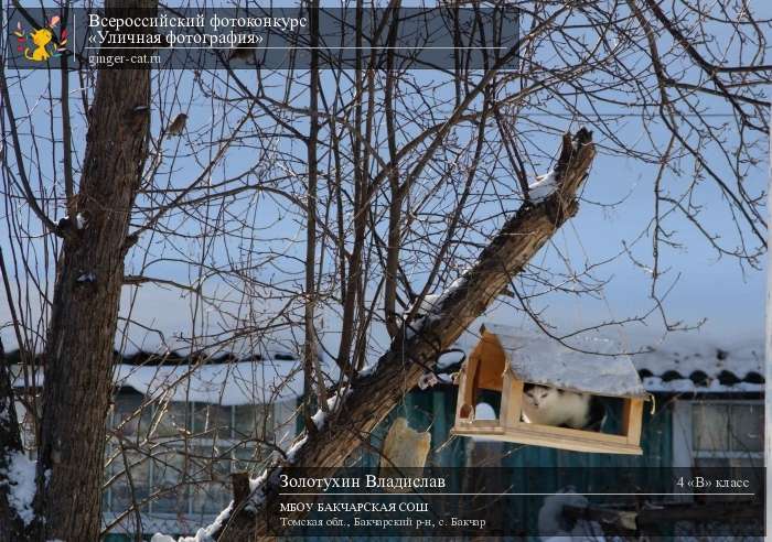 Всероссийский фотоконкурс «Уличная фотография»  - детский рисунок, поделка, творческая работа, категория школьники, 4 класс, дистанционный конкурс, школьный конкурс