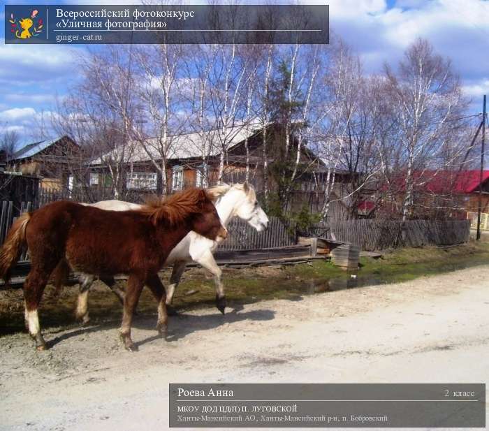 Всероссийский фотоконкурс «Уличная фотография»  - детский рисунок, поделка, творческая работа, категория школьники, 2 класс, дистанционный конкурс, школьный конкурс