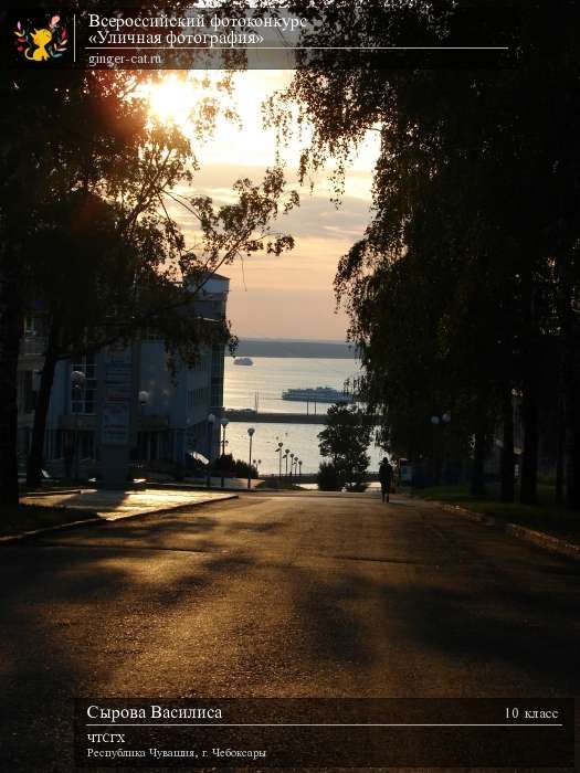 Всероссийский фотоконкурс «Уличная фотография»  - детский рисунок, поделка, творческая работа, категория школьники, 10 класс, дистанционный конкурс, школьный конкурс