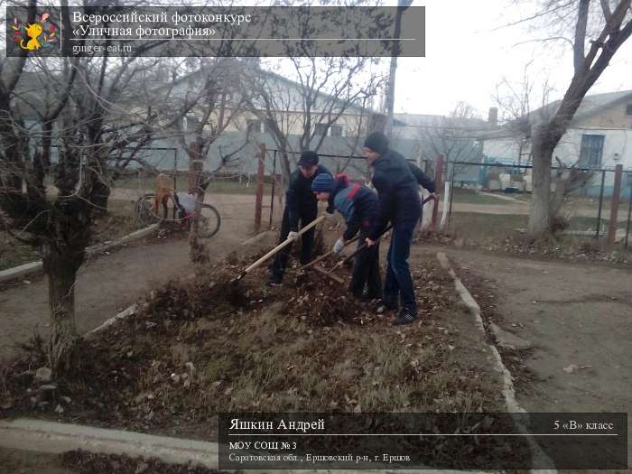 Всероссийский фотоконкурс «Уличная фотография»  - детский рисунок, поделка, творческая работа, категория школьники, 5 класс, дистанционный конкурс, школьный конкурс