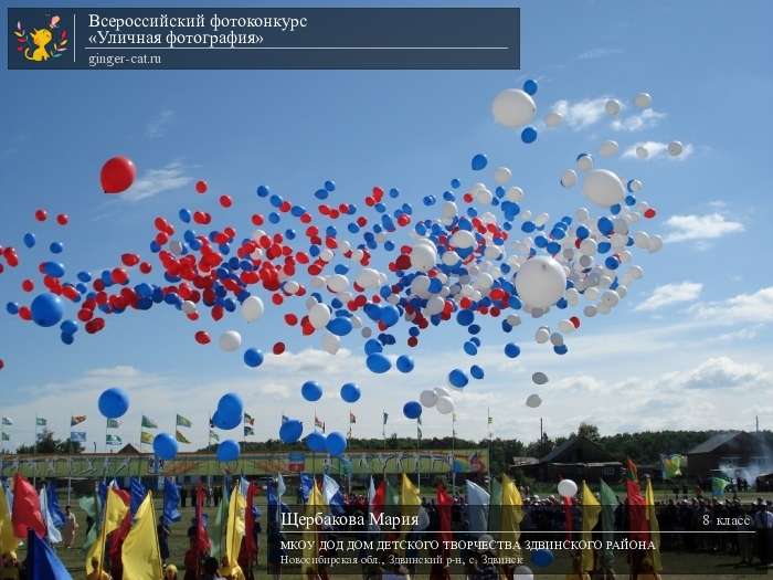 Всероссийский фотоконкурс «Уличная фотография»  - детский рисунок, поделка, творческая работа, категория школьники, 8 класс, дистанционный конкурс, школьный конкурс