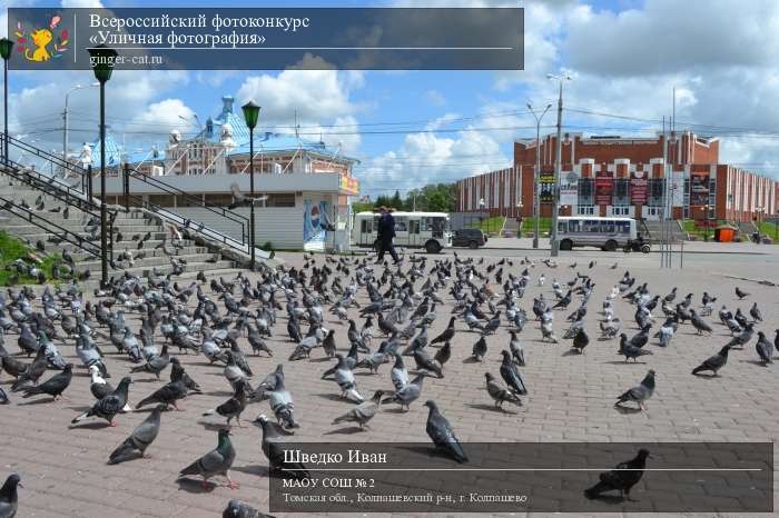 Всероссийский фотоконкурс «Уличная фотография»  - детский рисунок, поделка, творческая работа, категория дошкольники, детский сад, дистанционный конкурс, школьный конкурс