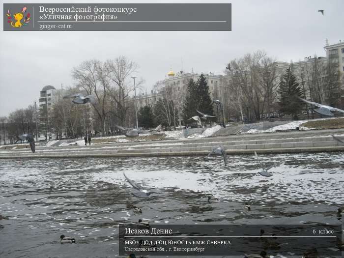 Всероссийский фотоконкурс «Уличная фотография»  - детский рисунок, поделка, творческая работа, категория школьники, 6 класс, дистанционный конкурс, школьный конкурс