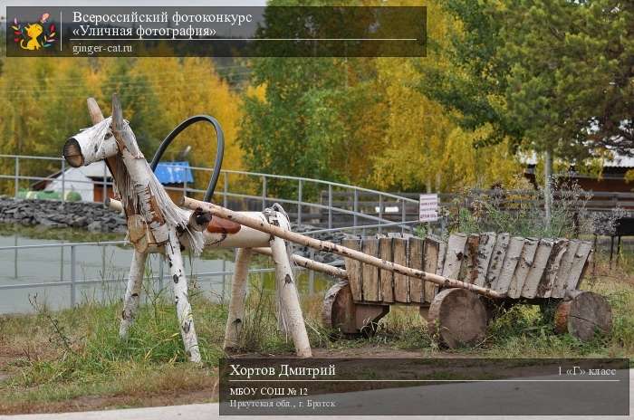 Всероссийский фотоконкурс «Уличная фотография»  - детский рисунок, поделка, творческая работа, категория школьники, 1 класс, дистанционный конкурс, школьный конкурс