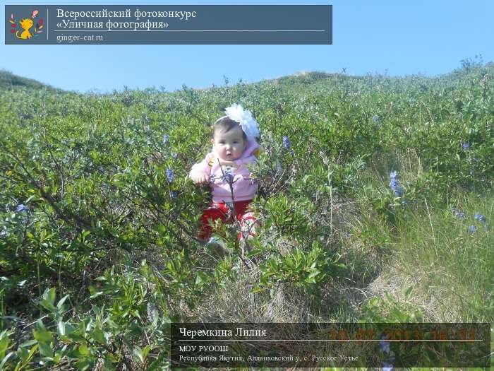 Всероссийский фотоконкурс «Уличная фотография»  - детский рисунок, поделка, творческая работа, категория дошкольники, детский сад, дистанционный конкурс, школьный конкурс