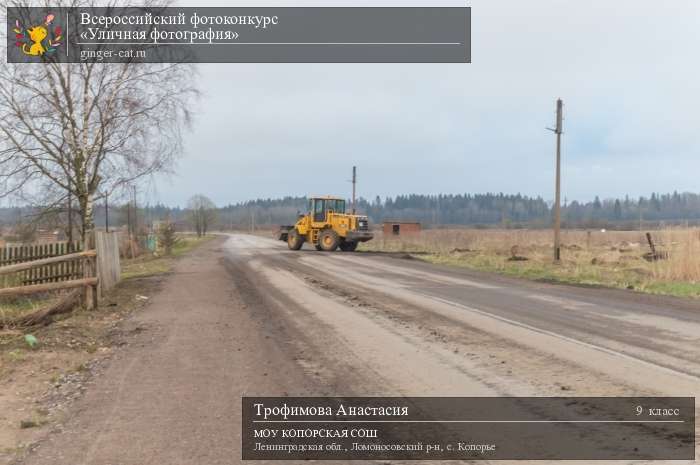 Всероссийский фотоконкурс «Уличная фотография»  - детский рисунок, поделка, творческая работа, категория школьники, 9 класс, дистанционный конкурс, школьный конкурс