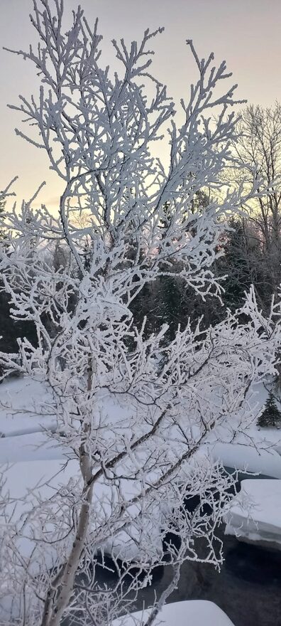 Всероссийский творческий конкурс «Однажды, в студёную зимнюю пору...»  - детский рисунок, поделка, творческая работа, категория школьники, 9 класс, дистанционный конкурс, школьный конкурс