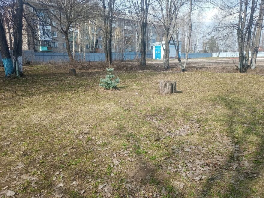 Всероссийский творческий конкурс «Дыхание весны»  - детский рисунок, поделка, творческая работа, категория школьники, 6 класс, дистанционный конкурс, школьный конкурс