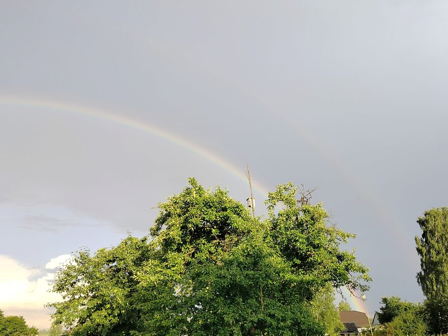 Всероссийский творческий конкурс «Какого цвета лето?»  - детский рисунок, поделка, творческая работа, категория школьники, 2 класс, дистанционный конкурс, школьный конкурс