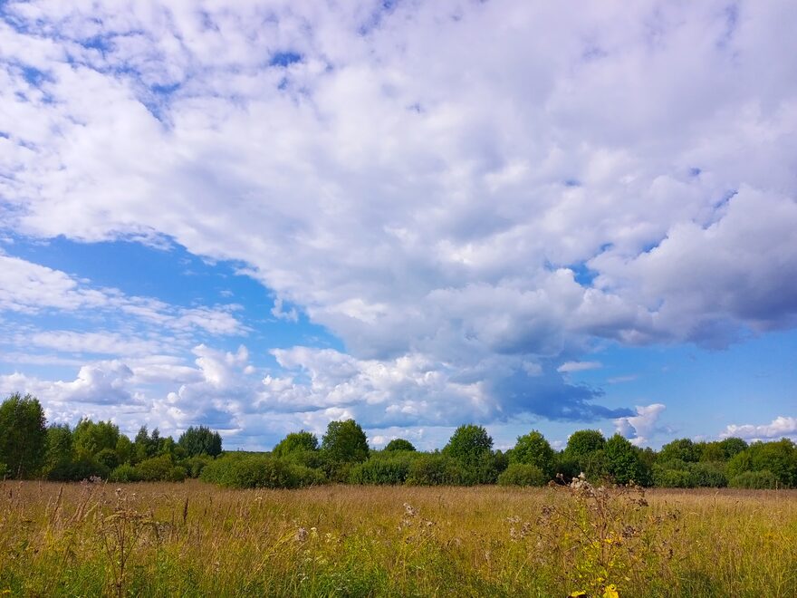 Всероссийский творческий конкурс «Какого цвета лето?»  - детский рисунок, поделка, творческая работа, категория взрослые, дистанционный конкурс, школьный конкурс