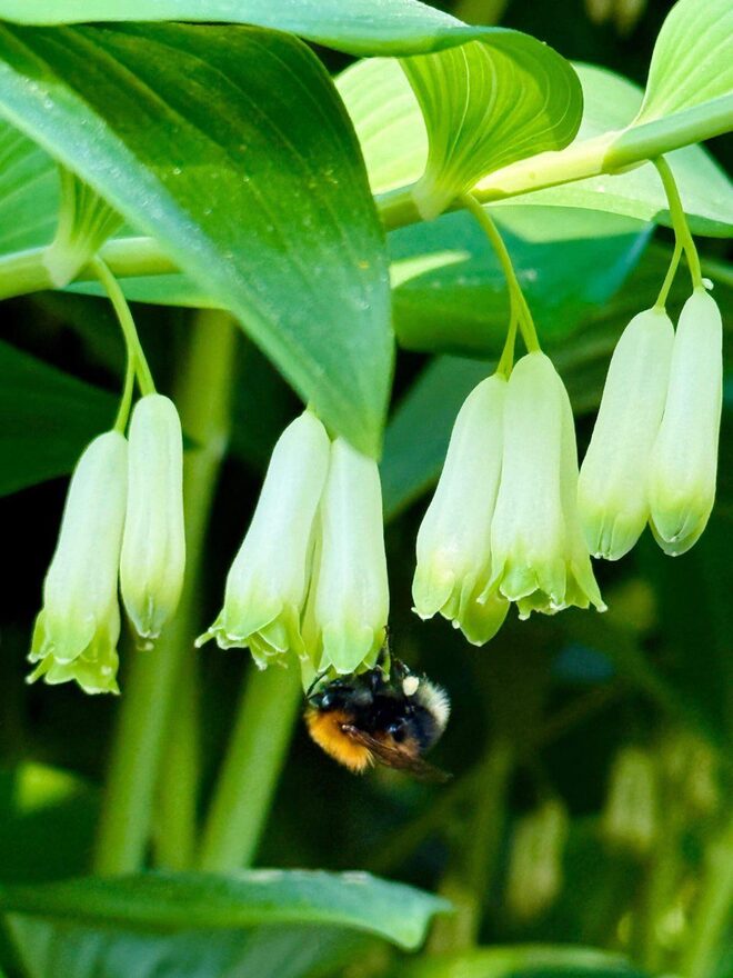 Всероссийский творческий конкурс «Сохраним жизнь на нашей планете!»  - детский рисунок, поделка, творческая работа, категория школьники, 8 класс, дистанционный конкурс, школьный конкурс