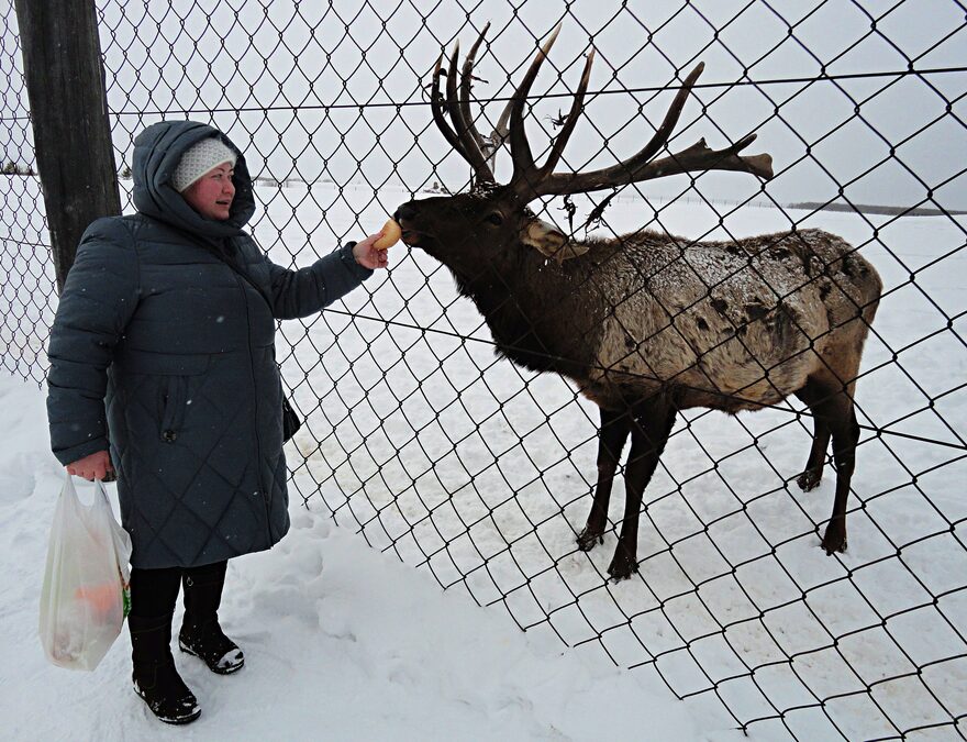 Всероссийский творческий конкурс «Сохраним жизнь на нашей планете!»  - детский рисунок, поделка, творческая работа, категория взрослые, дистанционный конкурс, школьный конкурс