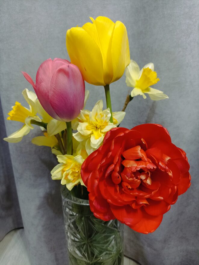 Всероссийский творческий конкурс «Оранжевое лето»  - детский рисунок, поделка, творческая работа, категория школьники, 4 класс, дистанционный конкурс, школьный конкурс