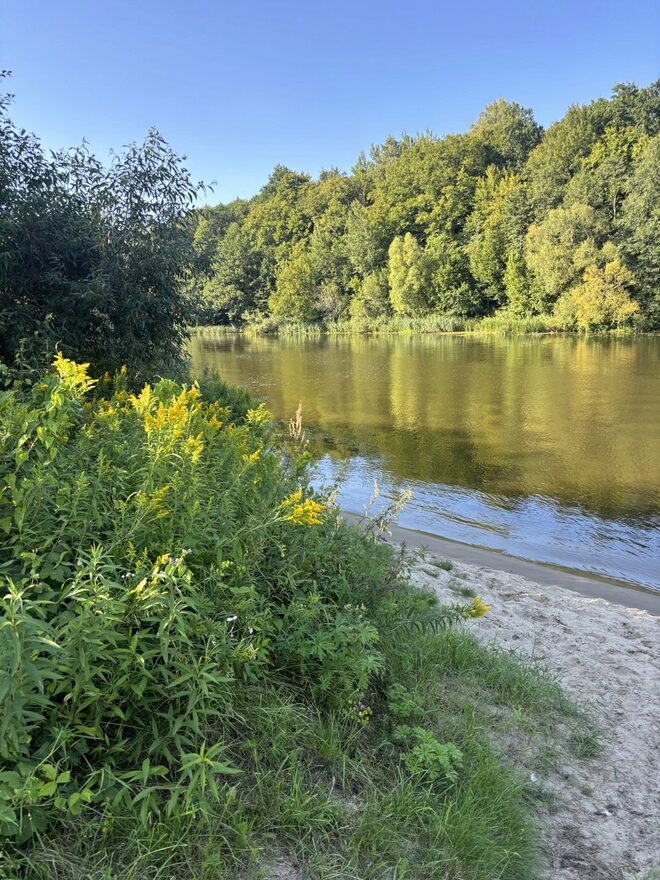 Всероссийский творческий конкурс «Оранжевое лето»  - детский рисунок, поделка, творческая работа, категория школьники, 1 класс, дистанционный конкурс, школьный конкурс