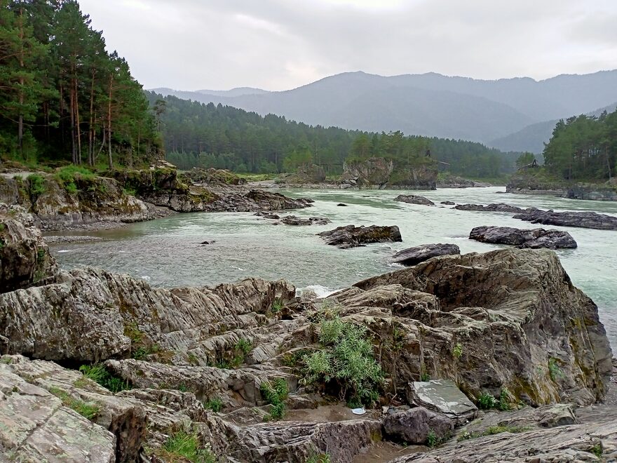 Всероссийский творческий конкурс «Оранжевое лето»  - детский рисунок, поделка, творческая работа, категория взрослые, дистанционный конкурс, школьный конкурс