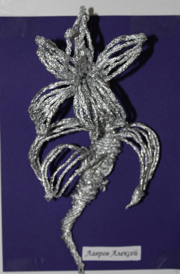 Всероссийский творческий конкурс «Оранжевое лето»  - детский рисунок, поделка, творческая работа, категория школьники, 8 класс, дистанционный конкурс, школьный конкурс