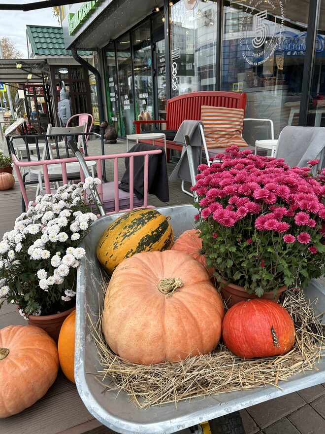 Всероссийский творческий конкурс «Осенняя фантазия»  - детский рисунок, поделка, творческая работа, категория школьники, 4 класс, дистанционный конкурс, школьный конкурс