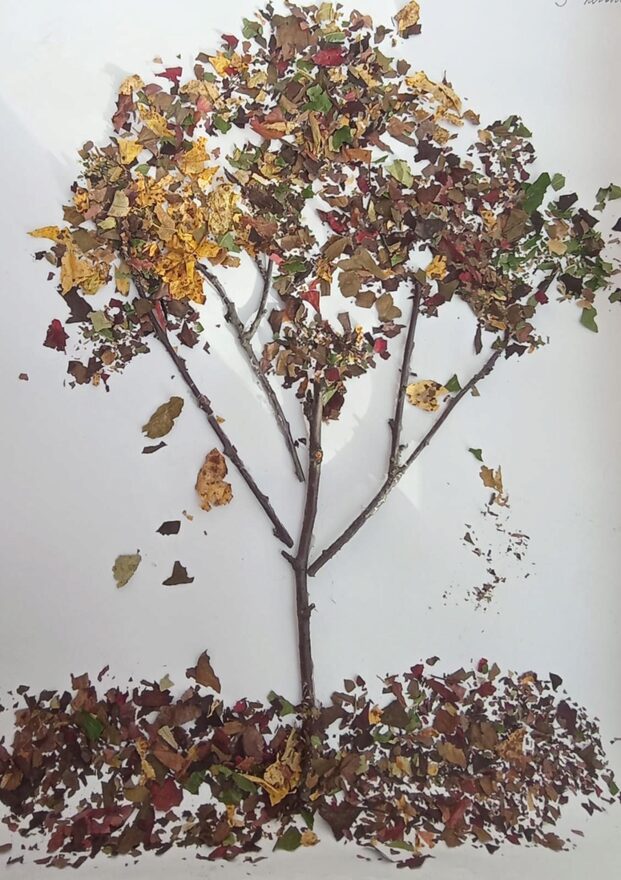 Всероссийский творческий конкурс «Осенняя фантазия»  - детский рисунок, поделка, творческая работа, категория школьники, 3 класс, дистанционный конкурс, школьный конкурс