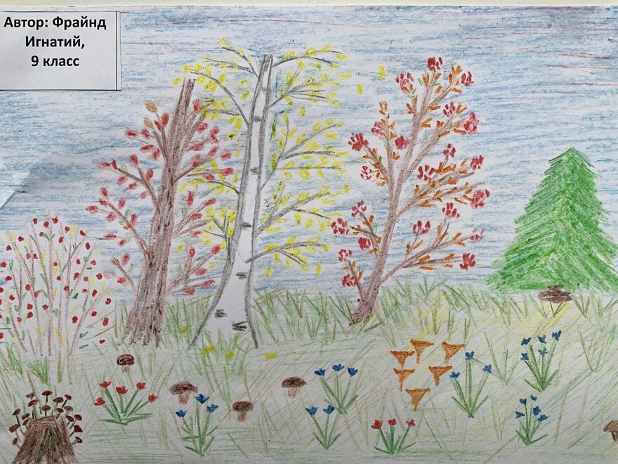Всероссийский творческий конкурс «Осенняя фантазия»  - детский рисунок, поделка, творческая работа, категория школьники, 9 класс, дистанционный конкурс, школьный конкурс