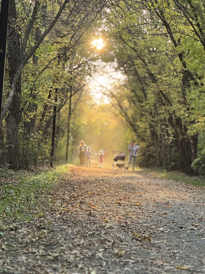 Всероссийский творческий конкурс «Осенняя фантазия»  - детский рисунок, поделка, творческая работа, категория школьники, 1 класс, дистанционный конкурс, школьный конкурс