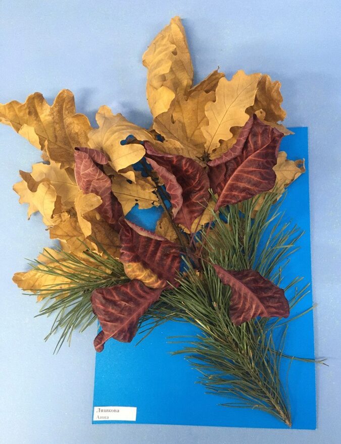 Всероссийский творческий конкурс «Осенняя фантазия»  - детский рисунок, поделка, творческая работа, категория школьники, 1 класс, дистанционный конкурс, школьный конкурс