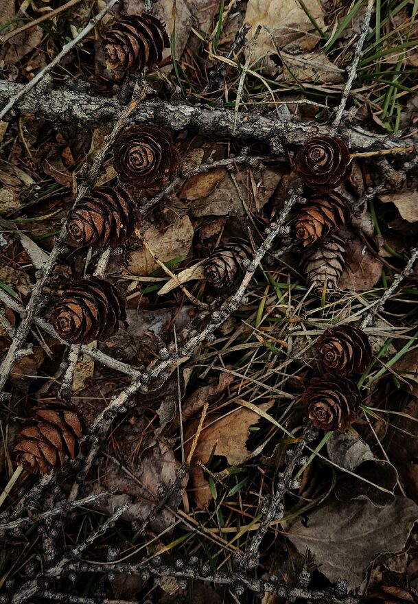 Всероссийский творческий конкурс «Осенняя фантазия»  - детский рисунок, поделка, творческая работа, категория школьники, 11 класс, дистанционный конкурс, школьный конкурс