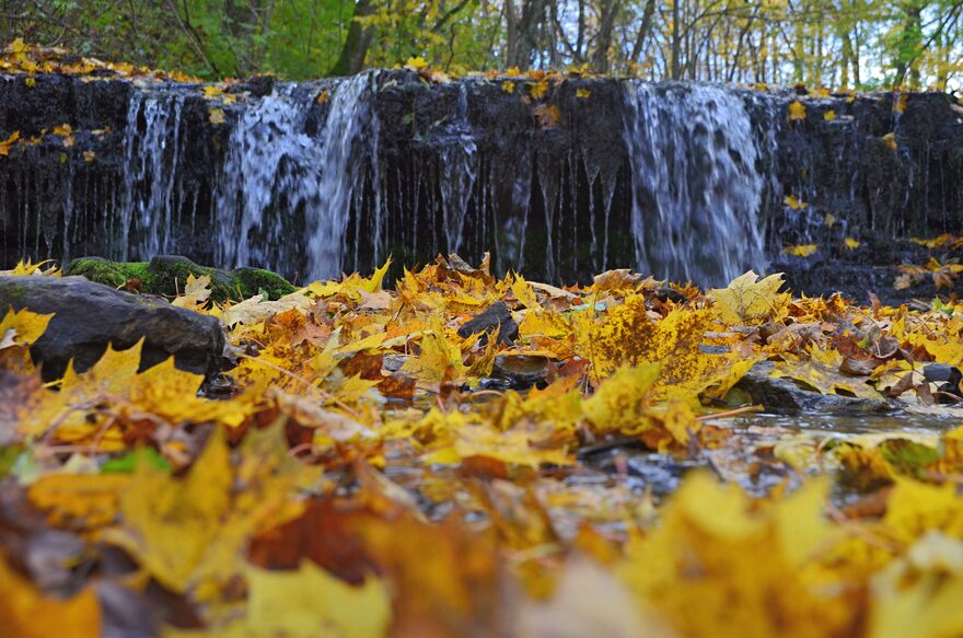Всероссийский творческий конкурс «Осенняя фантазия»  - детский рисунок, поделка, творческая работа, категория школьники, 7 класс, дистанционный конкурс, школьный конкурс