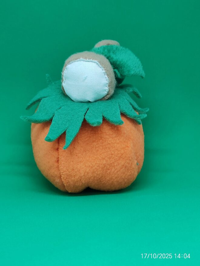 Всероссийский творческий конкурс «Осенняя фантазия»  - детский рисунок, поделка, творческая работа, категория школьники, 4 класс, дистанционный конкурс, школьный конкурс