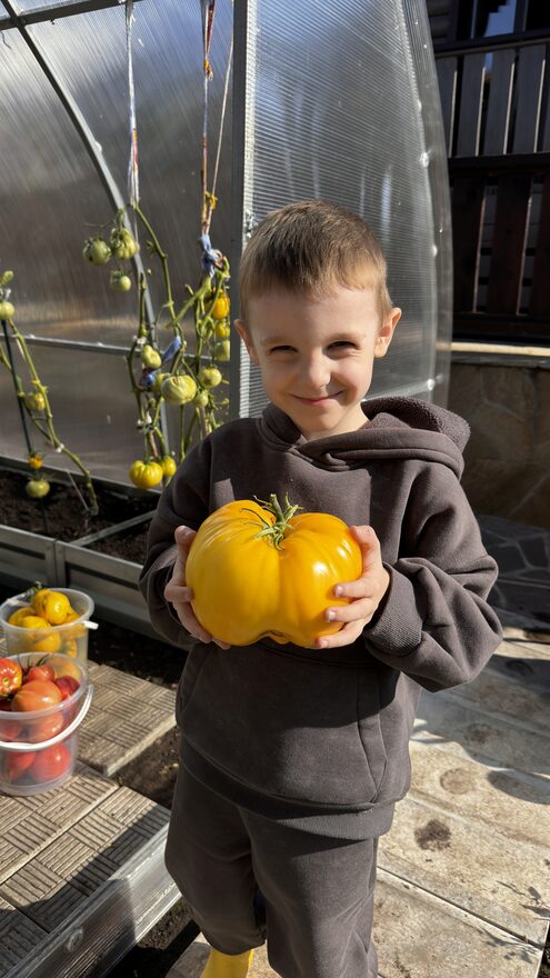 Всероссийский творческий конкурс «Дары осени»  - детский рисунок, поделка, творческая работа, категория дошкольники, детский сад, дистанционный конкурс, школьный конкурс