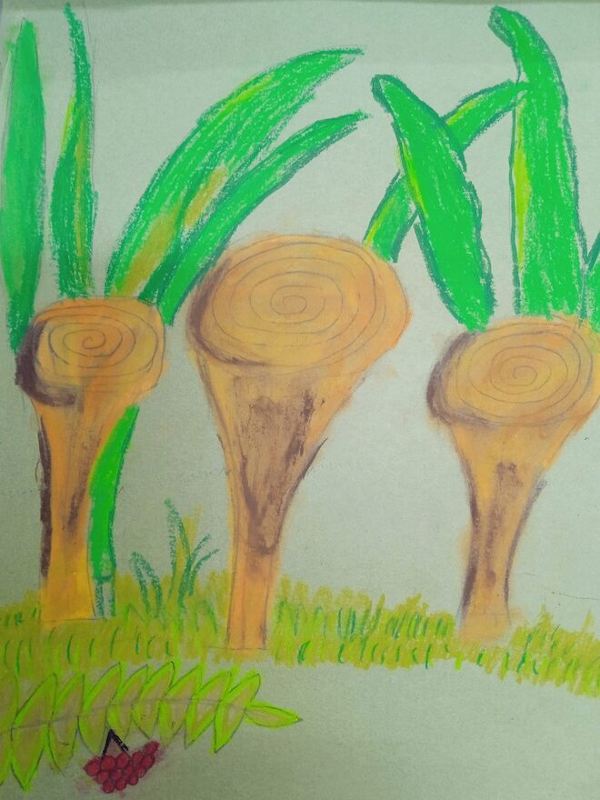 Всероссийский творческий конкурс «Дары осени»  - детский рисунок, поделка, творческая работа, категория школьники, 1 класс, дистанционный конкурс, школьный конкурс