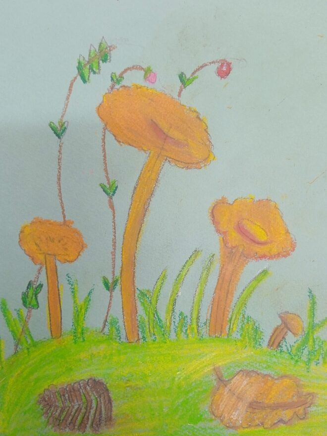 Всероссийский творческий конкурс «Дары осени»  - детский рисунок, поделка, творческая работа, категория школьники, 1 класс, дистанционный конкурс, школьный конкурс