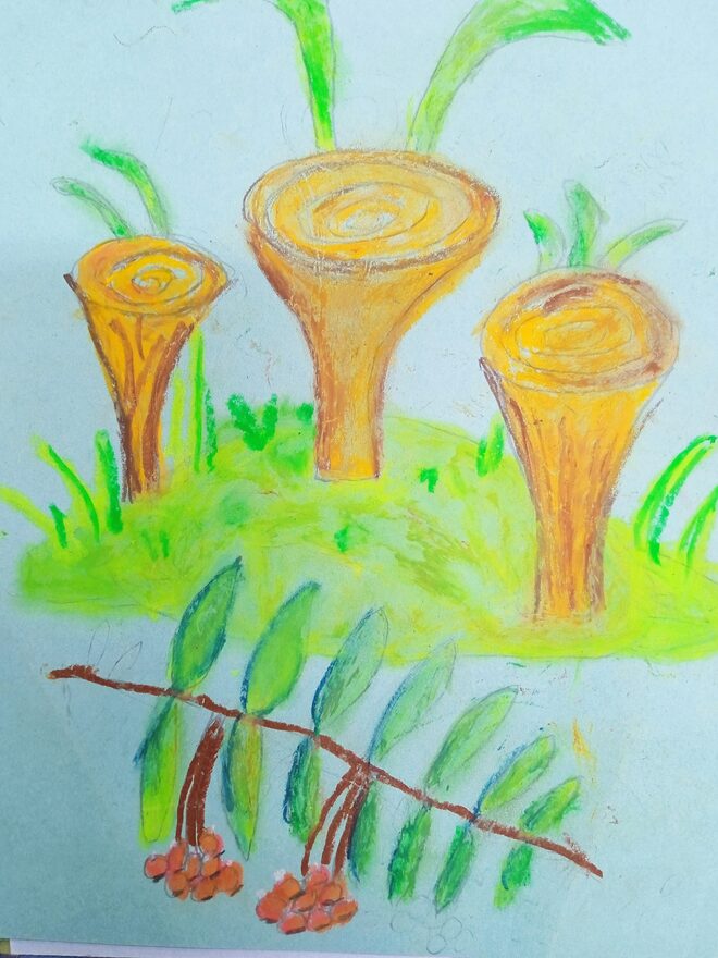 Всероссийский творческий конкурс «Дары осени»  - детский рисунок, поделка, творческая работа, категория школьники, 1 класс, дистанционный конкурс, школьный конкурс