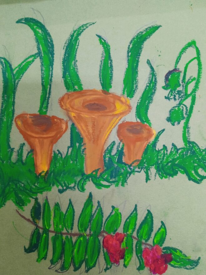 Всероссийский творческий конкурс «Дары осени»  - детский рисунок, поделка, творческая работа, категория школьники, 1 класс, дистанционный конкурс, школьный конкурс