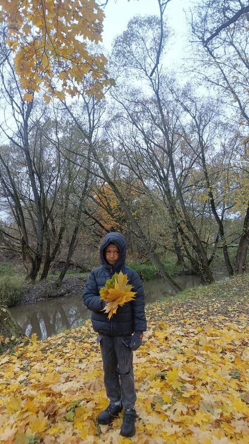 Всероссийский творческий конкурс «Дары осени»  - детский рисунок, поделка, творческая работа, категория школьники, 2 класс, дистанционный конкурс, школьный конкурс